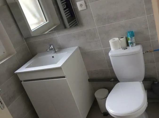 F2 Cosy Avec Cour Apartman